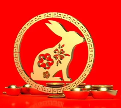 2023 年中国新年